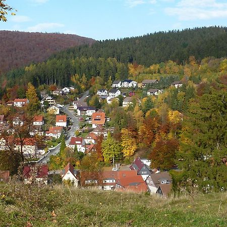 Pension Rheingold Garni Бад-Грунд Экстерьер фото