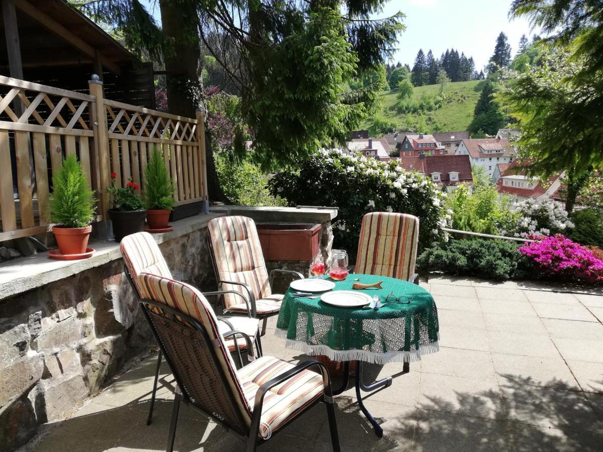 Pension Rheingold Garni Бад-Грунд Экстерьер фото