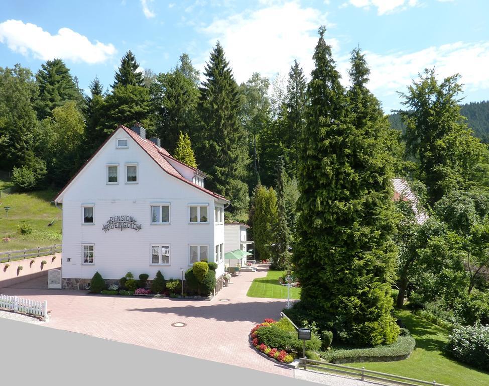 Pension Rheingold Garni Бад-Грунд Экстерьер фото