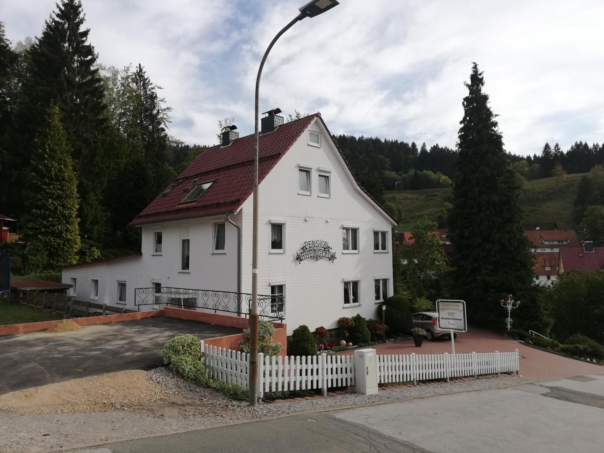 Pension Rheingold Garni Бад-Грунд Экстерьер фото