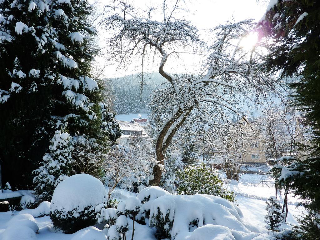 Pension Rheingold Garni Бад-Грунд Экстерьер фото