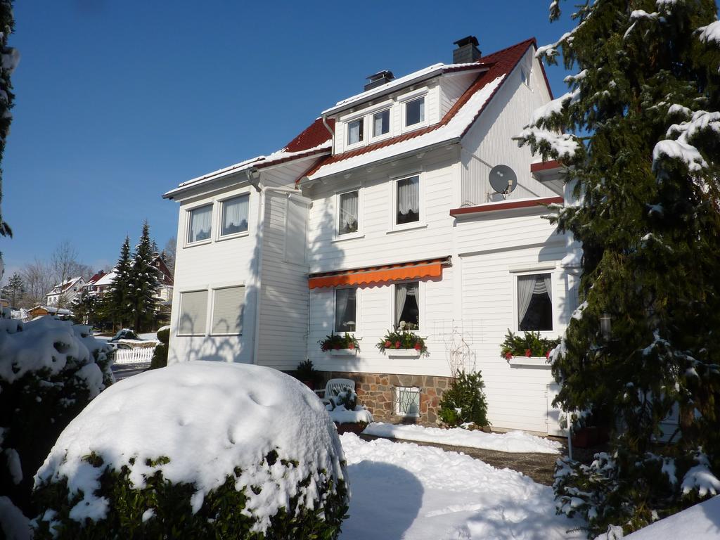 Pension Rheingold Garni Бад-Грунд Экстерьер фото
