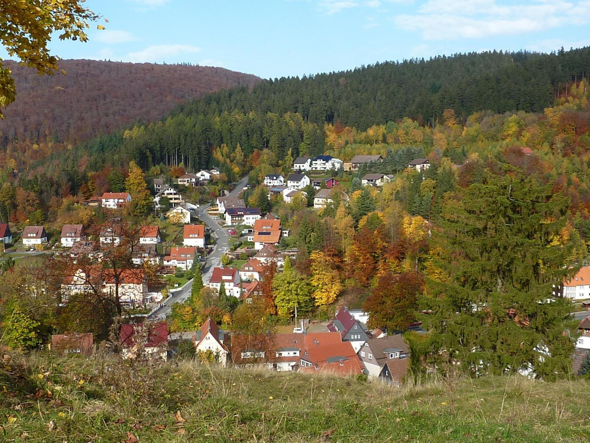 Pension Rheingold Garni Бад-Грунд Экстерьер фото